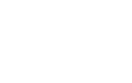 Noggin